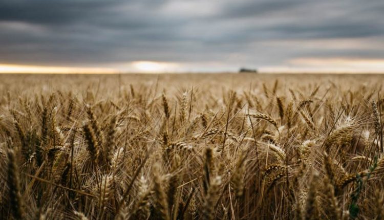 nonki-azariah-453937-unsplash