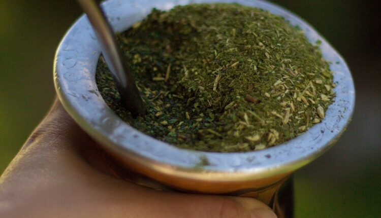 chimarrao-2465868_1920