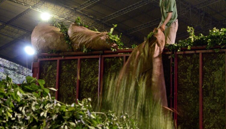 flower-green-jungle-backyard-garden-camion-167206-pxhere.com