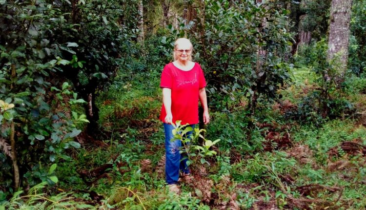 A produtora Dora Drabecki em meio aos ervais cultivados em São Mateus do Sul