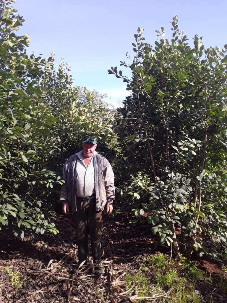 agricultor Adroaldo Brandão, Machadinho RS