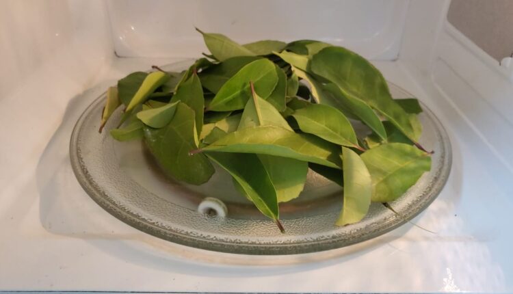 WhatsApp Image 2021-07-29 at 20.03.02